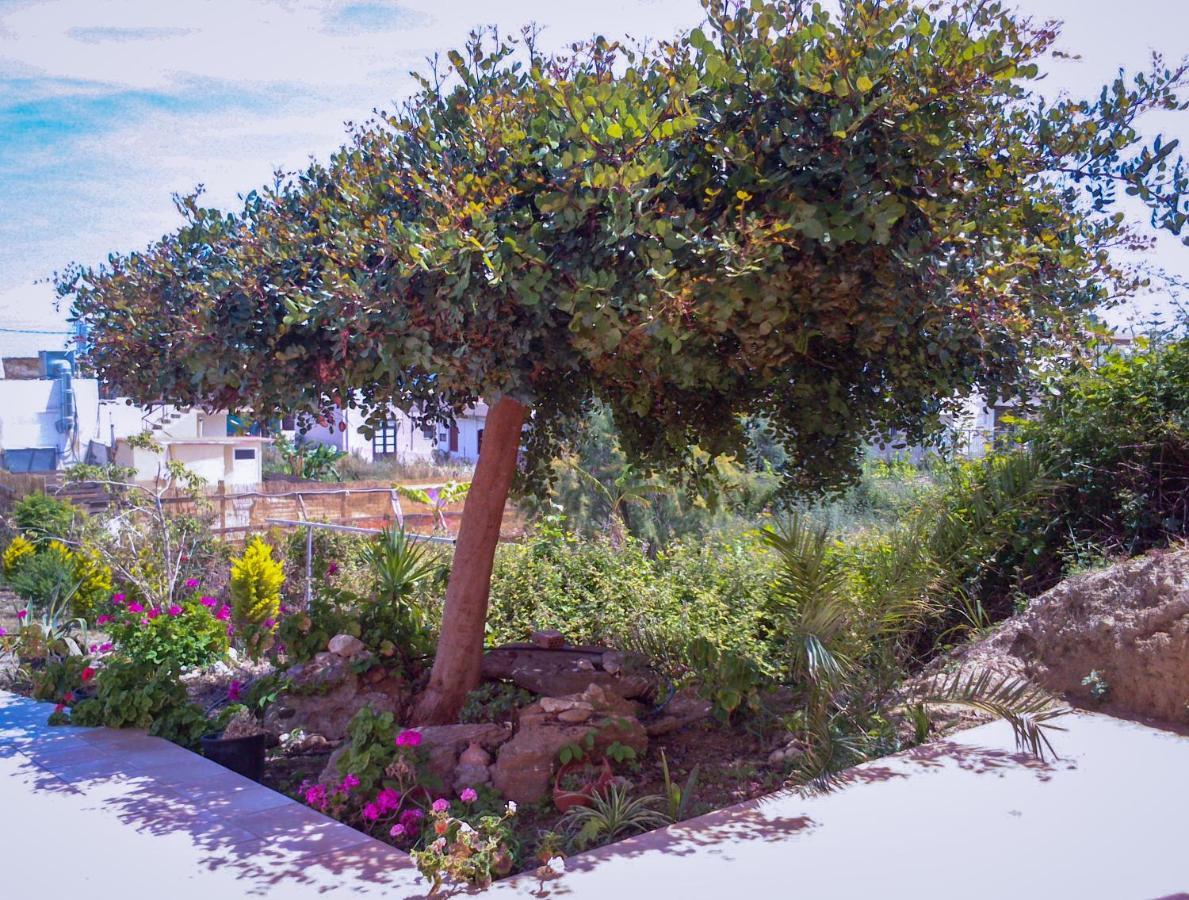 Kalimera Hotel Agia Marina